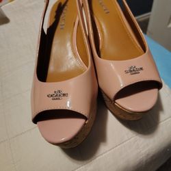 Authentic Coach Fairy Wings