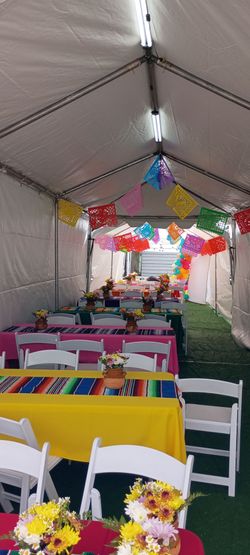 Carpa blanca 10x30 mesas sillas manteles