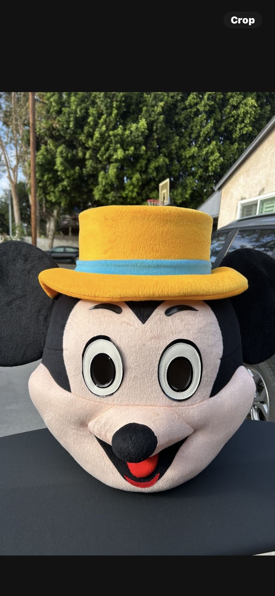 Mickey Mouse Halloween costume adult size extra large