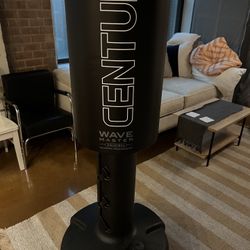 Century Punching Bag 