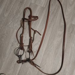Horse Leash