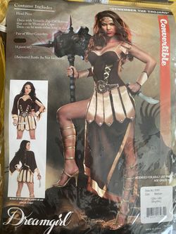 EUC Viking warrior costume women