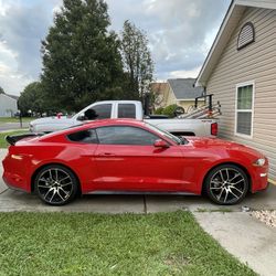 2019 Ford Mustang