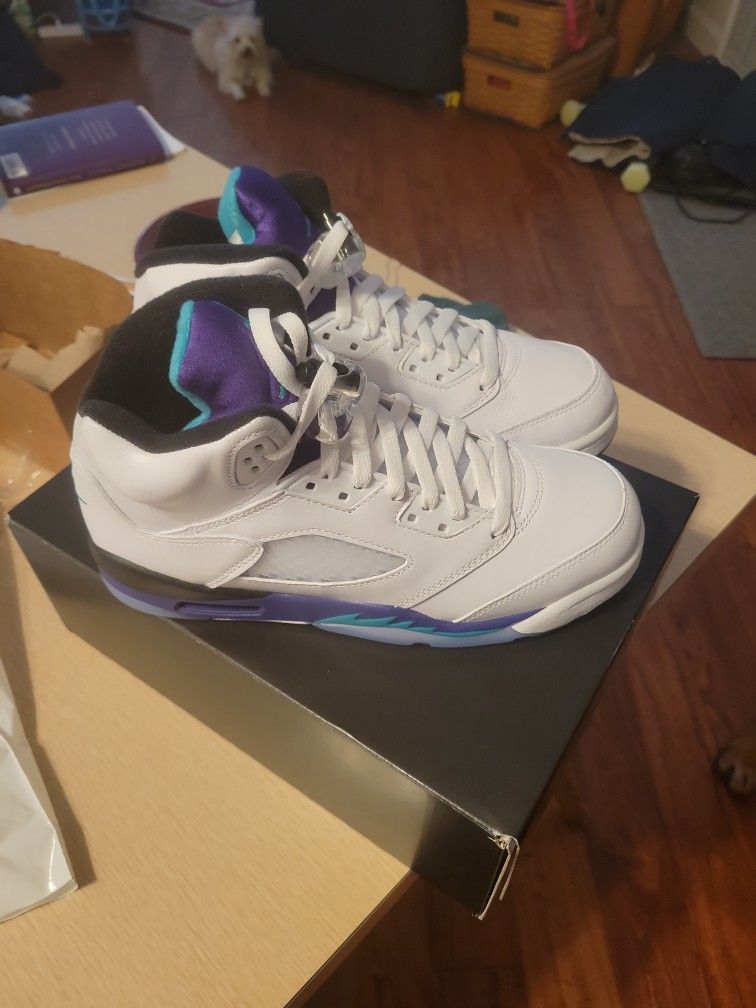 Jordan 5 GRAPES (2025) SIZE 7Y GS