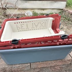 Small Dog Or Big Cat Crates Also 1 Large One