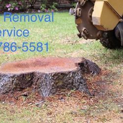 Stump