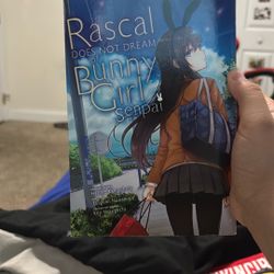 Rascal Does Not Dream Of Bunny Girl