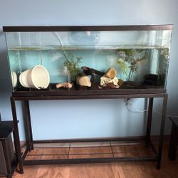 55 Gallon Fish Tank