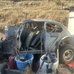 Baja Bug Custom Stainless Steel Roll Cage