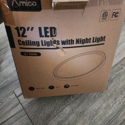 Ceiling LED Light With Night Light  12"