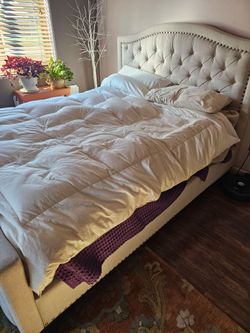 Tufted Queen bed with mattress