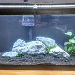 20 Gallon Long Freshwater Aquarium Fish Tank