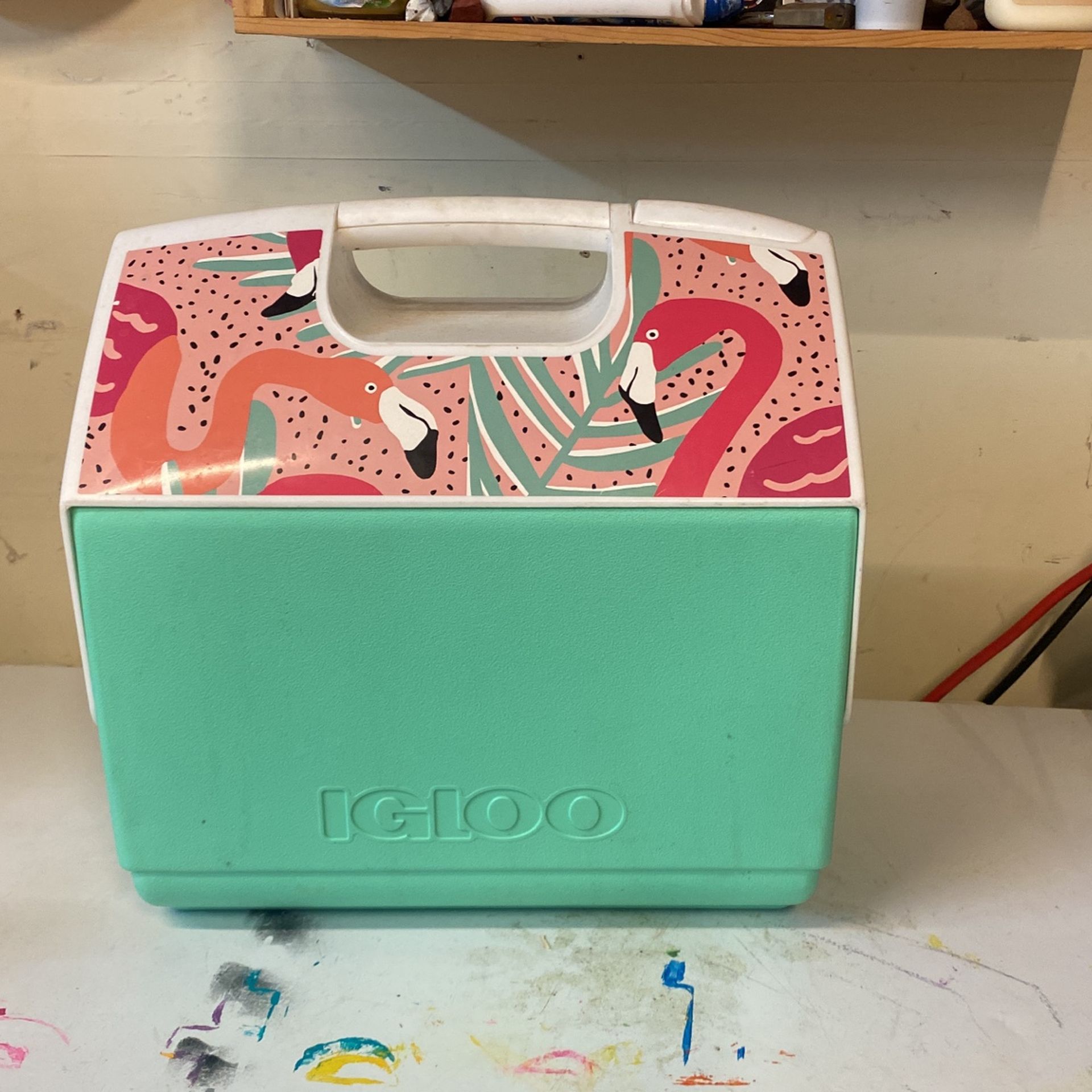 Igloo Cooler 