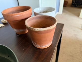 Plant Pots
