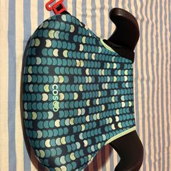 Cosco Booster Car Seat