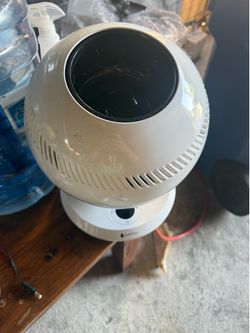 Fan