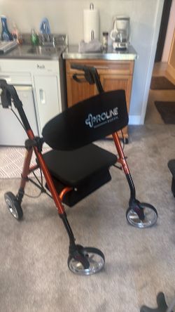 Walker with wheels and cane
