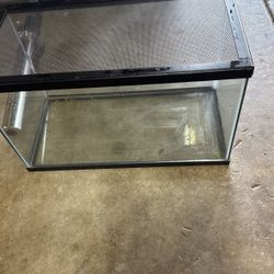 10 Gallon Tank