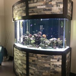 Fish Tank 300 Gallons 