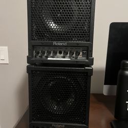 Roland CM-30 Cube Monitors (Pair) - Studio/Live