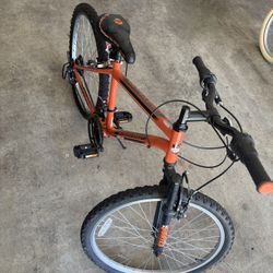 Mountain Bike