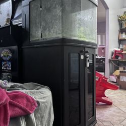 29 Gallon Biocube