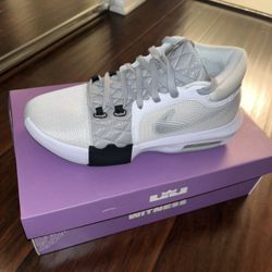 Nike LEBRON WITNESS VIII