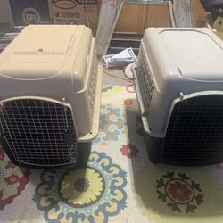 Dog Kennel / Dog Crate