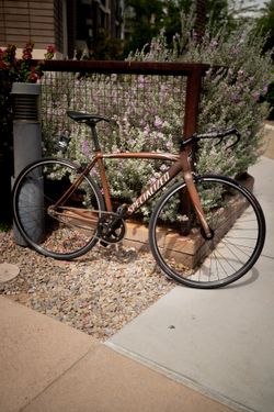 Specialized Langster 52cm