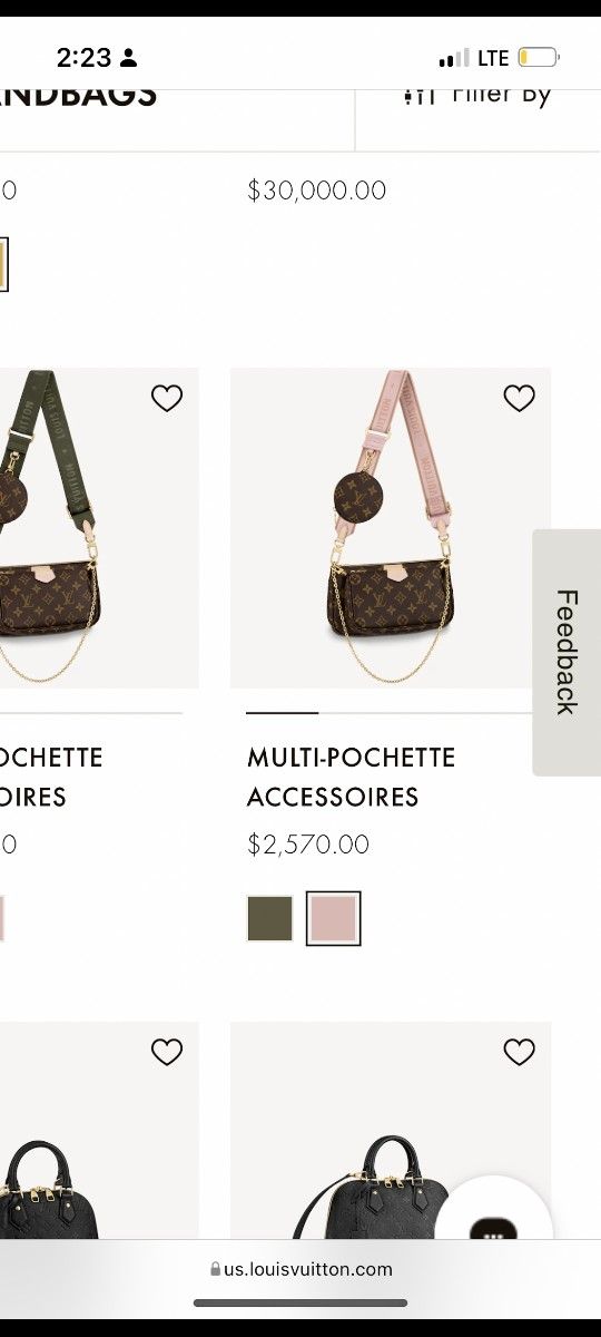 Louis Vuitton Purse Multi Pochette