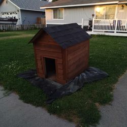 Dog House 
