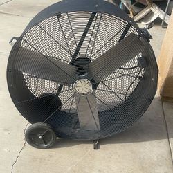 Shop Fan