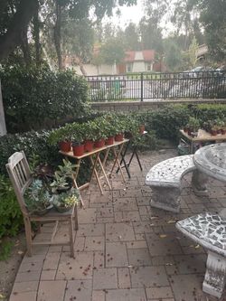 Garage plants sale! ‼️🌱🪻🌵🪴