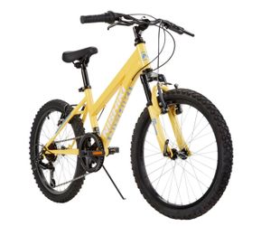 Nishiki 20” girls bike