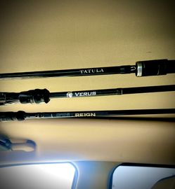 Daiwa Tatula, St. Croix, Kast King casting rods