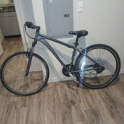 Schwinn Bike