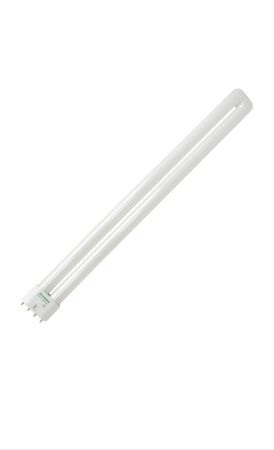 Light Bulbs