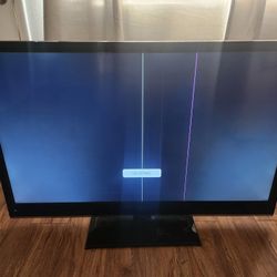 LG 48" LCD HD TV