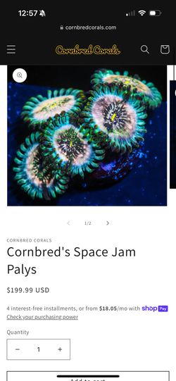 Cornbred Space Jam Paly