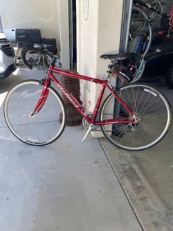 Specialized Road Bike 51"
