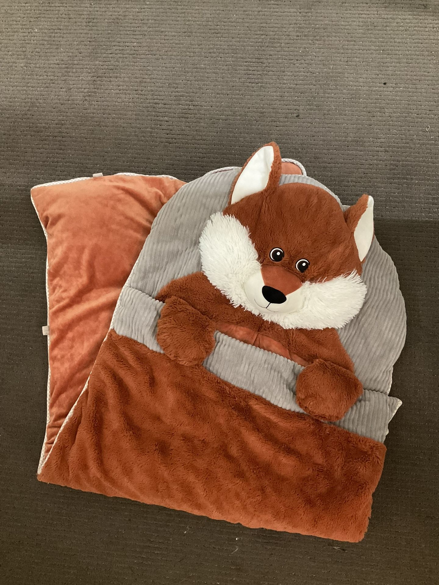 Kids Sleeping Bag
