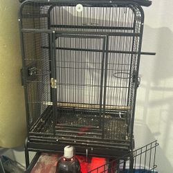 Bird Cage 