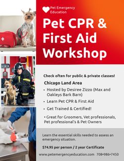Pet CPR & First Aid
