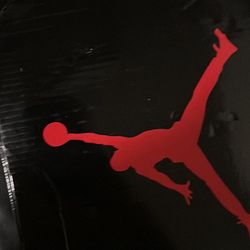 Air Jordan 4 retro bred reimagined