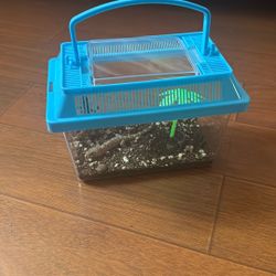 Gecko Cage