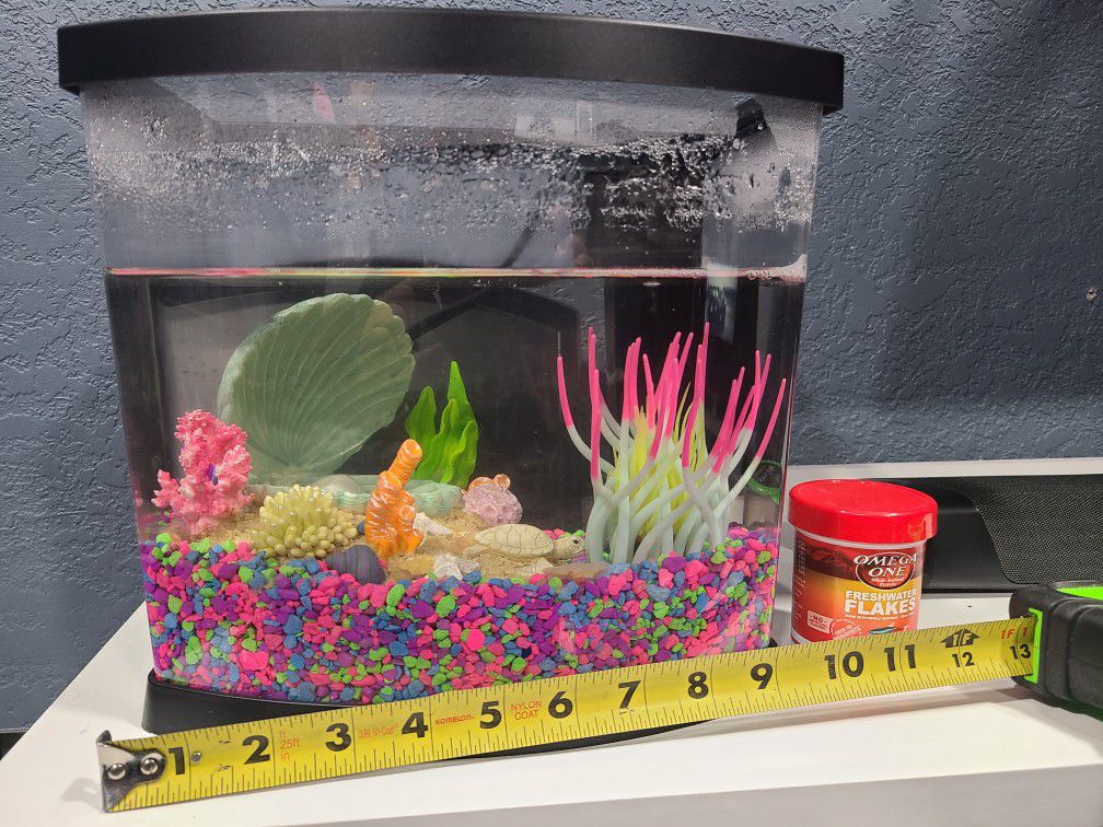 Hollywood Gluren Mooie vrouw Small Fish Tank W/ Accessories for Sale in Palmdale, CA - OfferUp