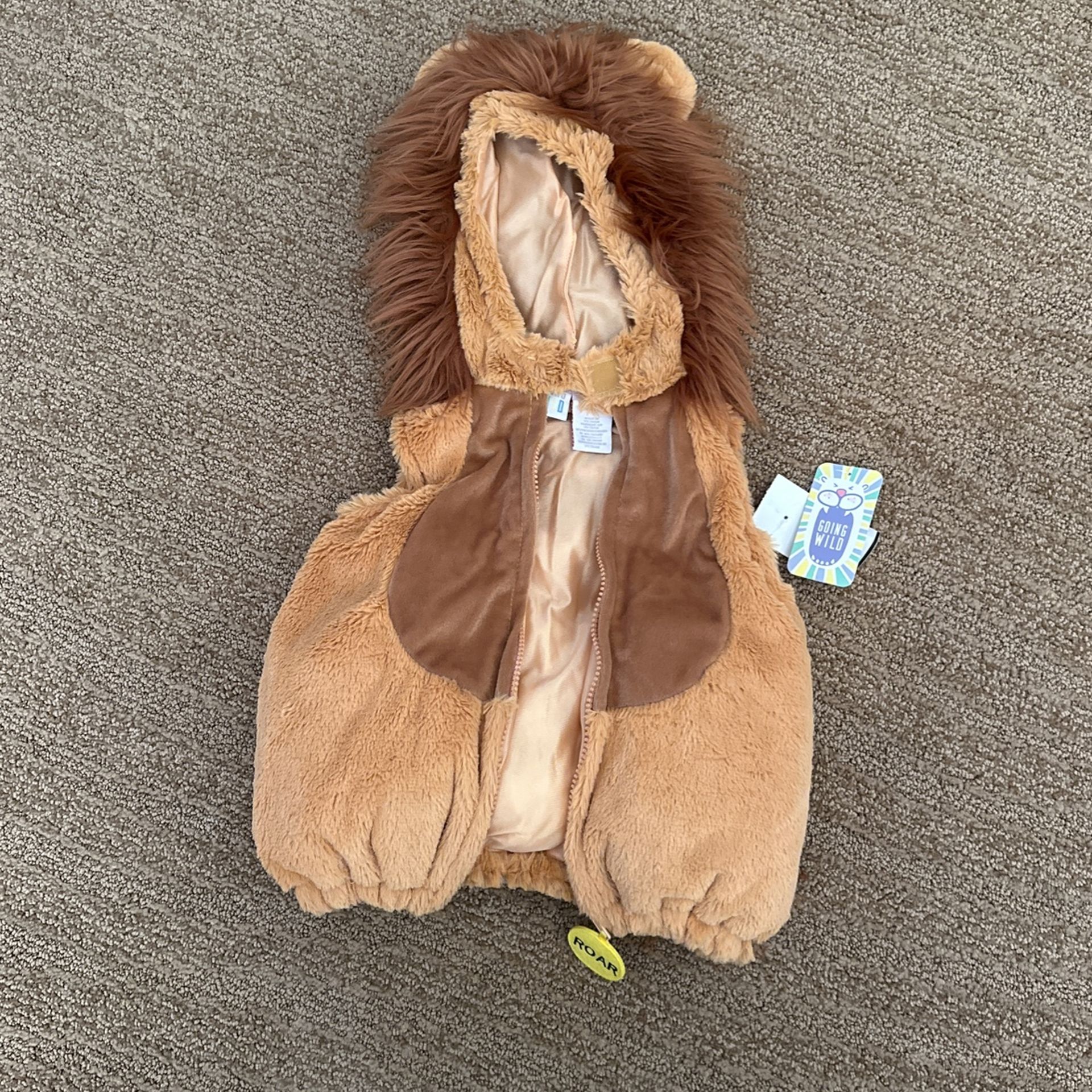 Lion Costume Baby