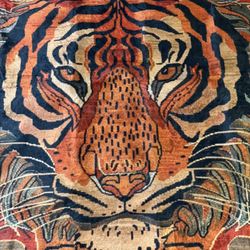 New Area Rug 5x7 Feet -  Eye Of The Tiger