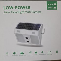 Wireless Floodlight Camera - White