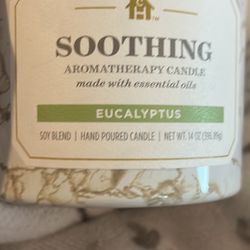 Eucalyptus Candle 14 Oz 